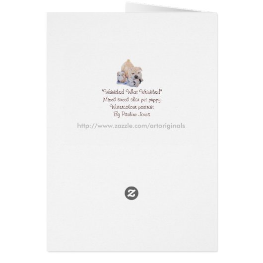 Niedliche Hündchenspitze bei Teddybären (Hinten)