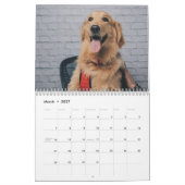 Niedliche Hunde 2024 Kalender (Mär 2027)