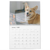 Niedliche Hunde 2024 Kalender (Jan 2027)