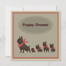 Niedliche Hunde - Französische Bulldogs -