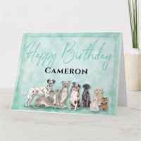 Niedliche Hunde glücklich zum Geburtstag