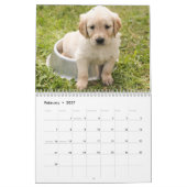 Niedliche Hunde Kalender (Feb 2027)