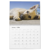 Niedliche Hunde Kalender (Jan 2026)
