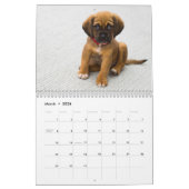 Niedliche Hunde Kalender (Mär 2026)