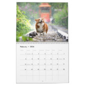 niedliche Hunde - Kalender 2023 (Feb 2026)
