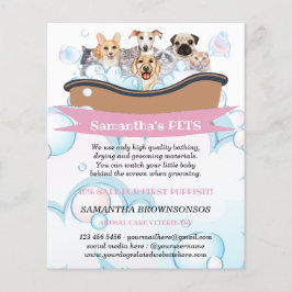 Niedliche Hunde Katzen Wellness-Center Sitter Groo Flyer