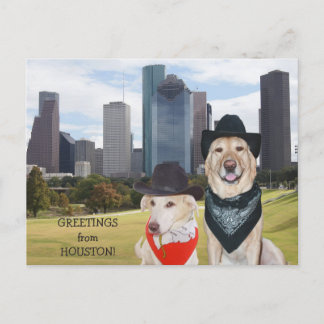 Niedliche Hunde/Labrador-Grüße von Houston Postkarte