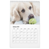 Niedliche Hunde oder IHR Fotogewohnheitskalender Kalender (Feb 2027)