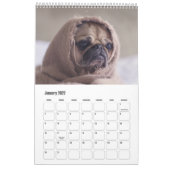 Niedliche Hunde oder IHR Fotogewohnheitskalender Kalender (Jan 2022)