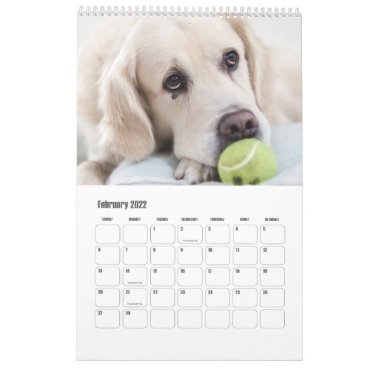 Niedliche Hunde oder IHR Fotogewohnheitskalender Kalender (Feb 2022)