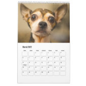 Niedliche Hunde oder IHR Fotogewohnheitskalender Kalender (Mär 2022)