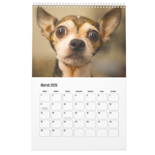 Niedliche Hunde oder IHR Fotogewohnheitskalender Kalender (Mär 2026)