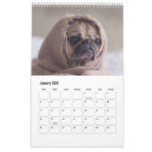 Niedliche Hunde oder IHR Fotogewohnheitskalender Kalender (Jan 2026)