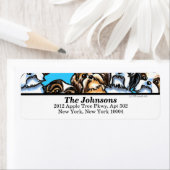 Niedliche Hunde Shih Tzu Pack Farbe (Insitu)