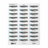 Niedliche Hunde Shih Tzu Pack Farbe (Vorne)