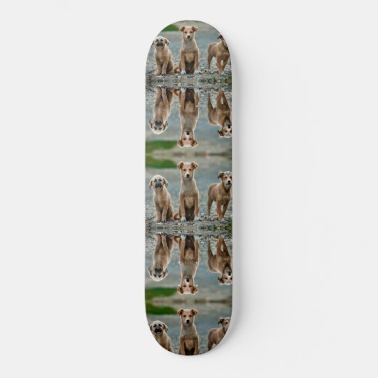 Niedliche Hunde Skateboard (Vorderseite)