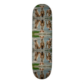 Niedliche Hunde Skateboard