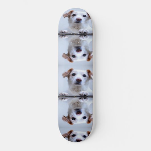 Niedliche Hunde Skateboard (Vorderseite)