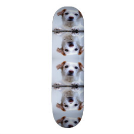 Niedliche Hunde Skateboard