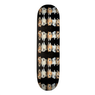 Niedliche Hunde Skateboard