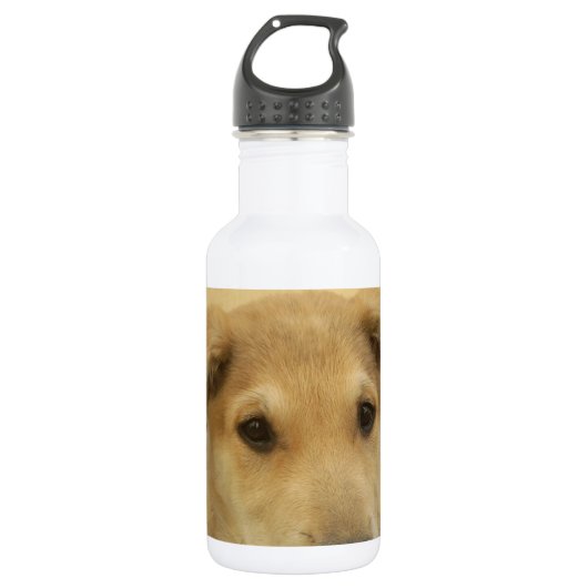 Niedliche Hunde und Welpen Mans Second Best Friend Edelstahlflasche (Vorderseite)