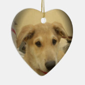 Niedliche Hunde und Welpen Mans Second Best Friend Keramik Ornament (Rechts)