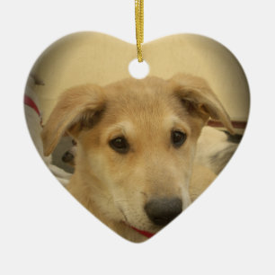 Niedliche Hunde und Welpen Mans Second Best Friend Keramik Ornament