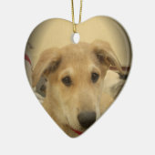 Niedliche Hunde und Welpen Mans Second Best Friend Keramik Ornament (Links)