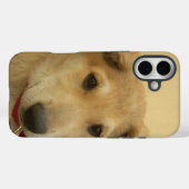 Niedliche Hunde und Welpen Mans zweitbeste Freundi Case-Mate iPhone Hülle (Rückseite (Horizontal))
