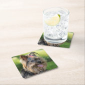 Niedliche Hunde Untersetzer 3 (Vor Ort)