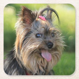 Niedliche Hunde Untersetzer 3