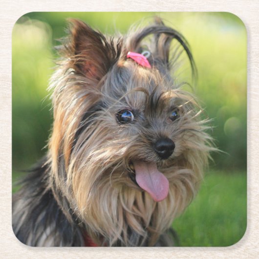 Niedliche Hunde Untersetzer 3 (Vorderseite)