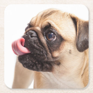 Niedliche Hunde Untersetzer 4
