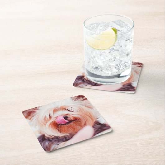 Niedliche Hunde Untersetzer 5 (Vor Ort)