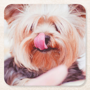 Niedliche Hunde Untersetzer 5