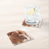Niedliche Hunde Untersetzer 6 (Vor Ort)