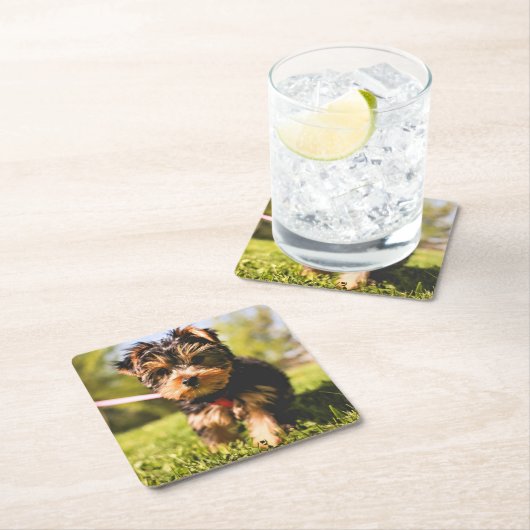 Niedliche Hunde-Untersetzer 9 Rechteckiger Pappuntersetzer (Vor Ort)