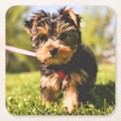 Niedliche Hunde-Untersetzer 9 Rechteckiger Pappuntersetzer (Vorderseite)