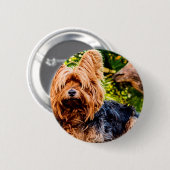 Niedliche Hundehaustier Yorkie Button (Vorne & Hinten)
