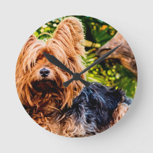 Niedliche Hundehaustier Yorkie Runde Wanduhr