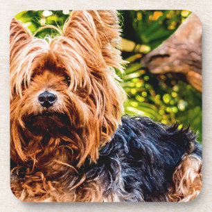 Niedliche Hundehaustier Yorkie Untersetzer