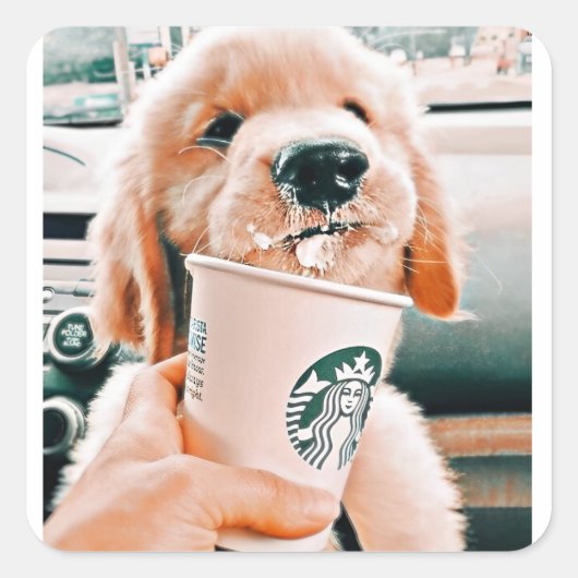 Niedliche Hundekleber Quadratischer Aufkleber (Vorderseite)