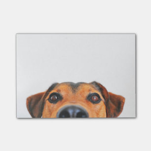 Niedliche Hundenase horizontal Post-it Klebezettel