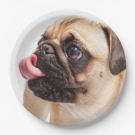 Niedliche Hundepapier-Teller 4 Pappteller (Vorderseite)