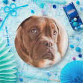 Niedliche Hundepapier-Teller 6 Pappteller (Party)