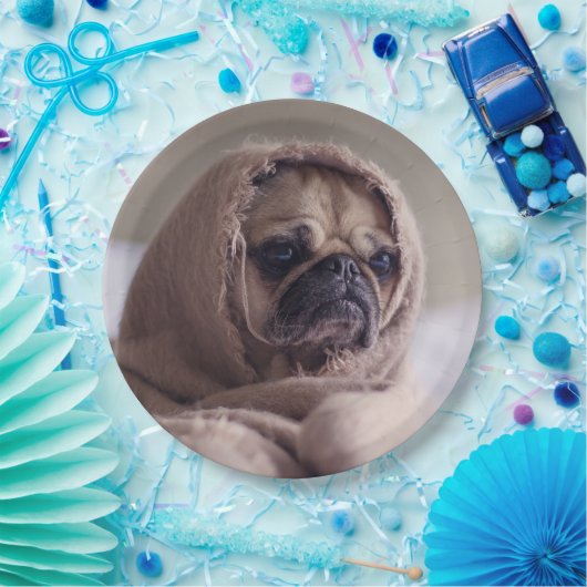 Niedliche Hundepapier-Teller 8 Pappteller (Party)