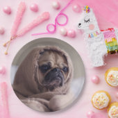 Niedliche Hundepapier-Teller 8 Pappteller (Party)