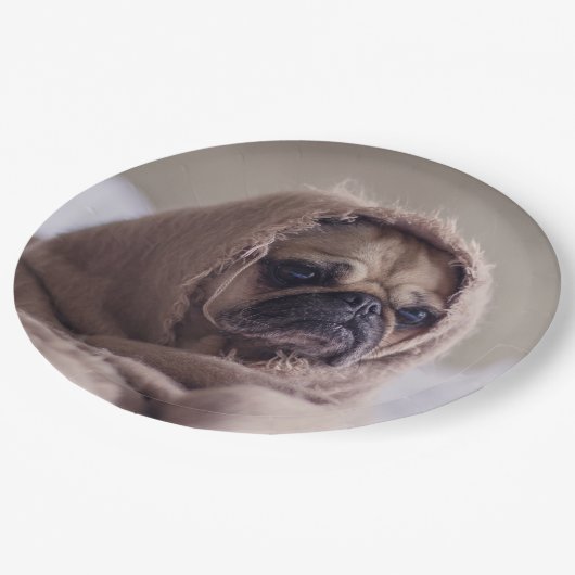 Niedliche Hundepapier-Teller 8 Pappteller (Schrägansicht)