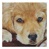 niedliche Hundeportraitkunst Poster (Vorderseite)