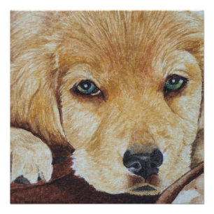 niedliche Hundeportraitkunst Poster